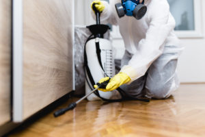 Exterminator Hard at Work in a Burlington Rental Home